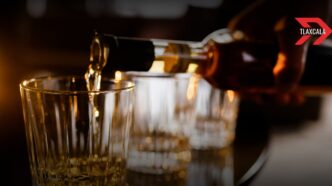 ley seca tlaxcala