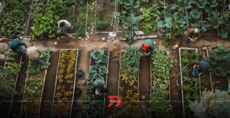 Tlaxcala exporta modelo de autosuficiencia alimentaria a Colombia