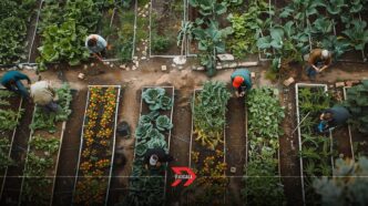Tlaxcala exporta modelo de autosuficiencia alimentaria a Colombia
