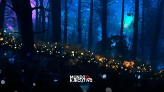 temporada de luciérnagas 2025