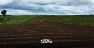 Exceso de humedad afecta 575 hectáreas en Tlaxcala