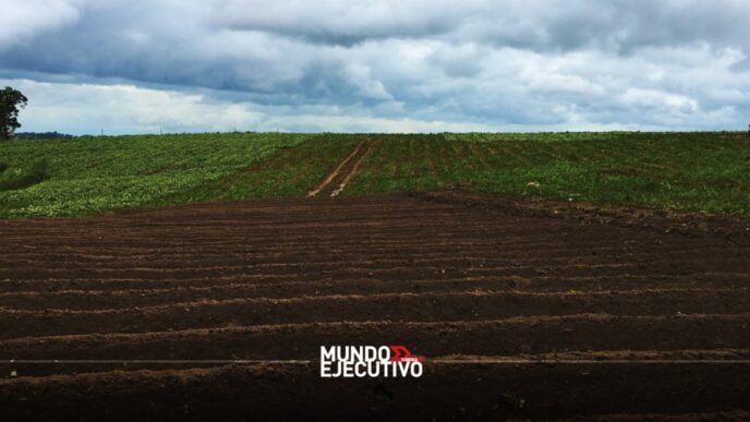 Exceso de humedad afecta 575 hectáreas en Tlaxcala