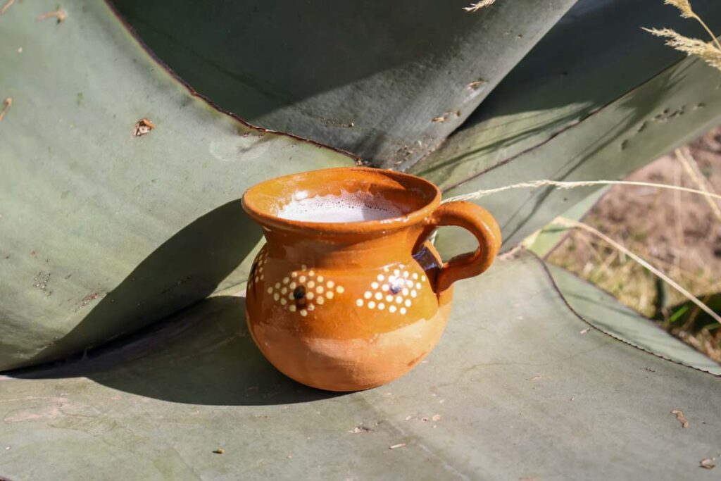 pulque