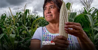 Economía de Tlaxcala muestra su peor desempeño en 2025