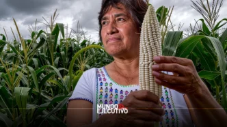 Economía de Tlaxcala muestra su peor desempeño en 2025