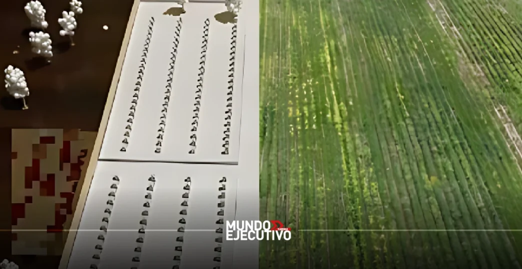 Texcacoac tendrá panteón ecológico en Tlaxcala