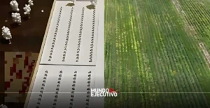 Texcacoac tendrá panteón ecológico en Tlaxcala